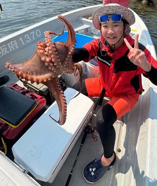 タコ