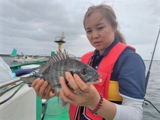 クロダイ