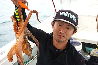 マダコ
