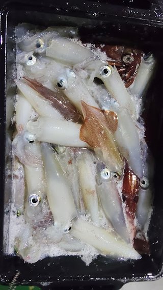 ケンサキ