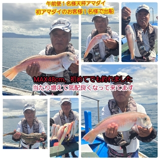 シロアマダイ