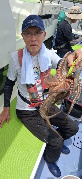 タコ