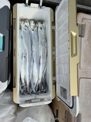 タチウオ