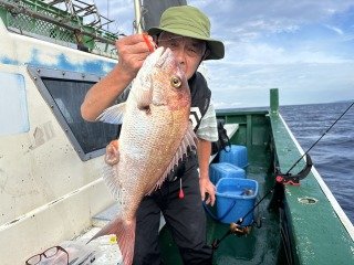 マダイ