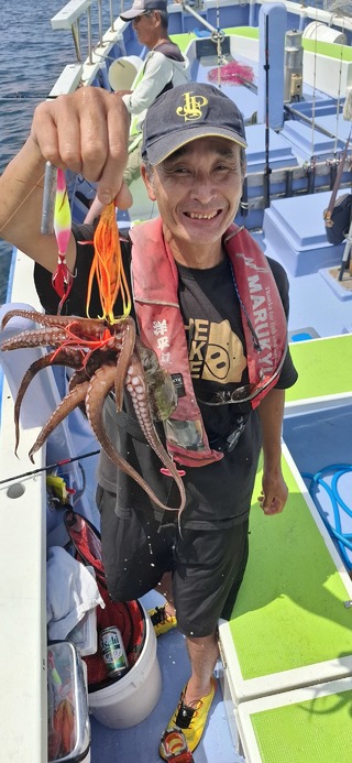 タコ
