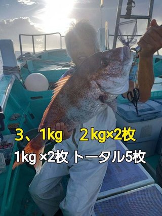 マダイ