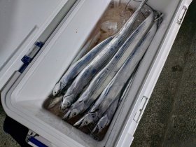 タチウオ