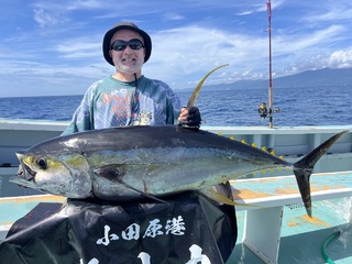 キハダマグロ