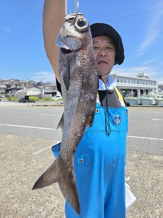 クロムツ