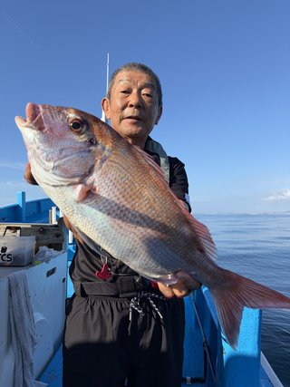 マダイ