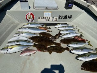 ヒラメ