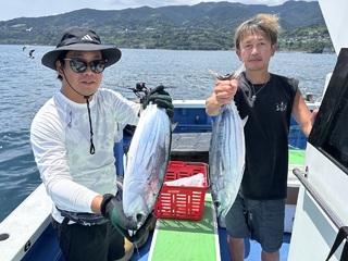 カツオ