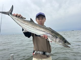 サワラ
