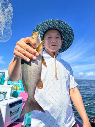 マダイ