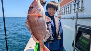 マダイ