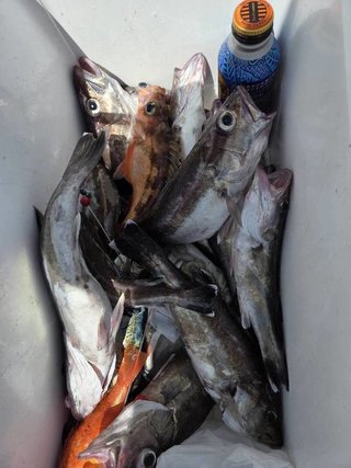 アラ