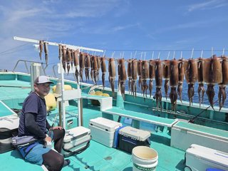 スルメイカ