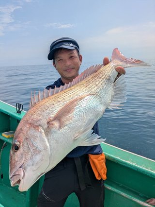 マダイ