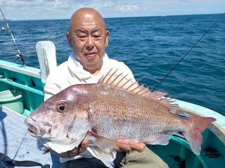 マダイ