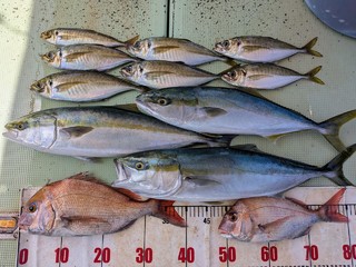 タイ