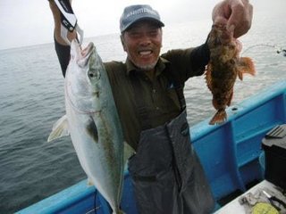 ワラサ