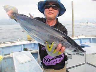 ホンガツオ