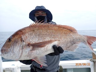 マダイ