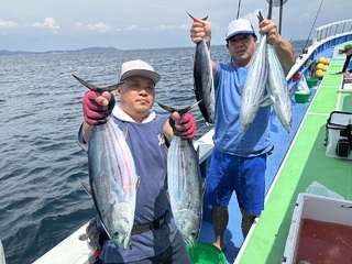 カツオ