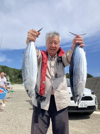 カツオ