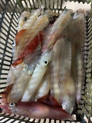 マイカ