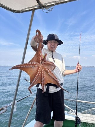 タコ