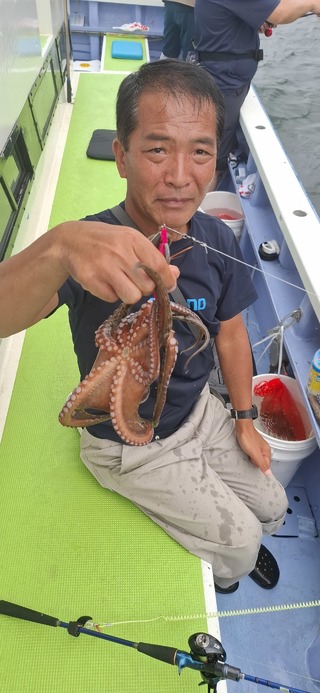 タコ