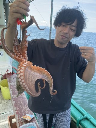 マダコ