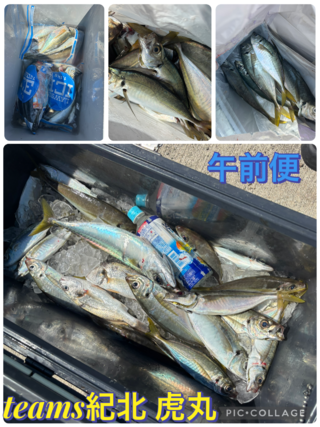 アジ