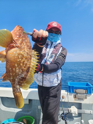 アコウ