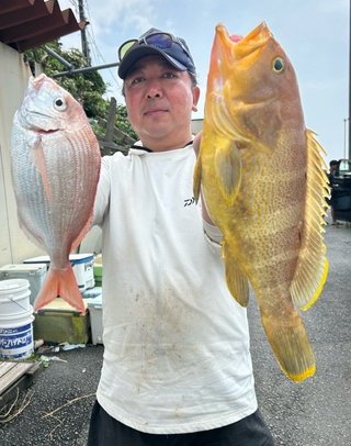 マアジ