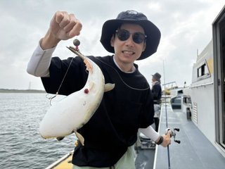 ショウサイフグ