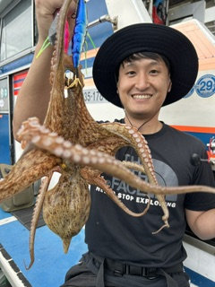 マダコ