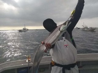 タチウオ