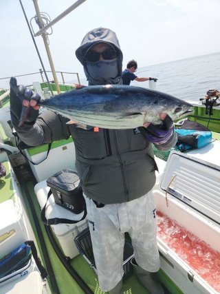 カツオ