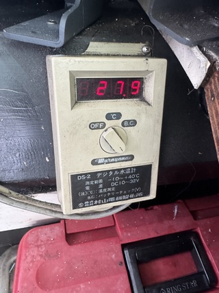 マアジ