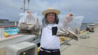 シロギス
