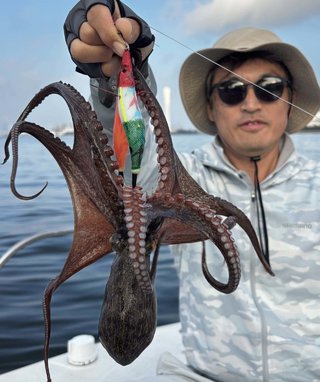 タコ