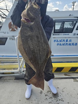 ヒラメ