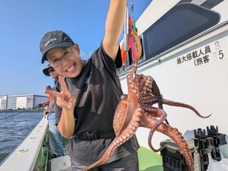 マダコ
