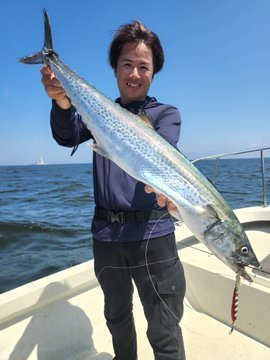 クロダイ