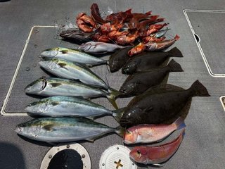ホウボウ