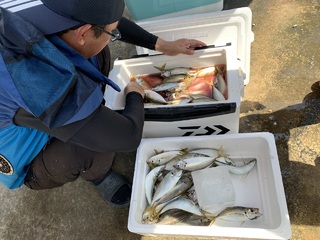 アジ