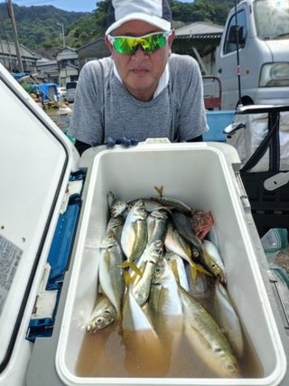 アジ