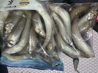 アジ